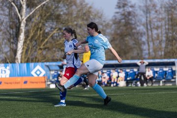Bild 323 - F Hamburger SV 3 - Blau-Weiss 96 : Ergebnis: 5:1